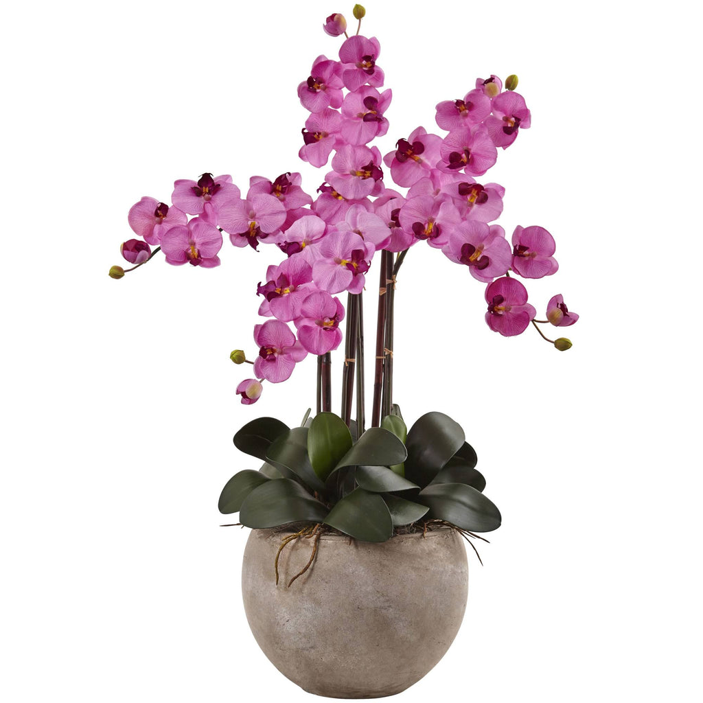 4.5 ft. Golden Cane Palm with Decorative Container U425094