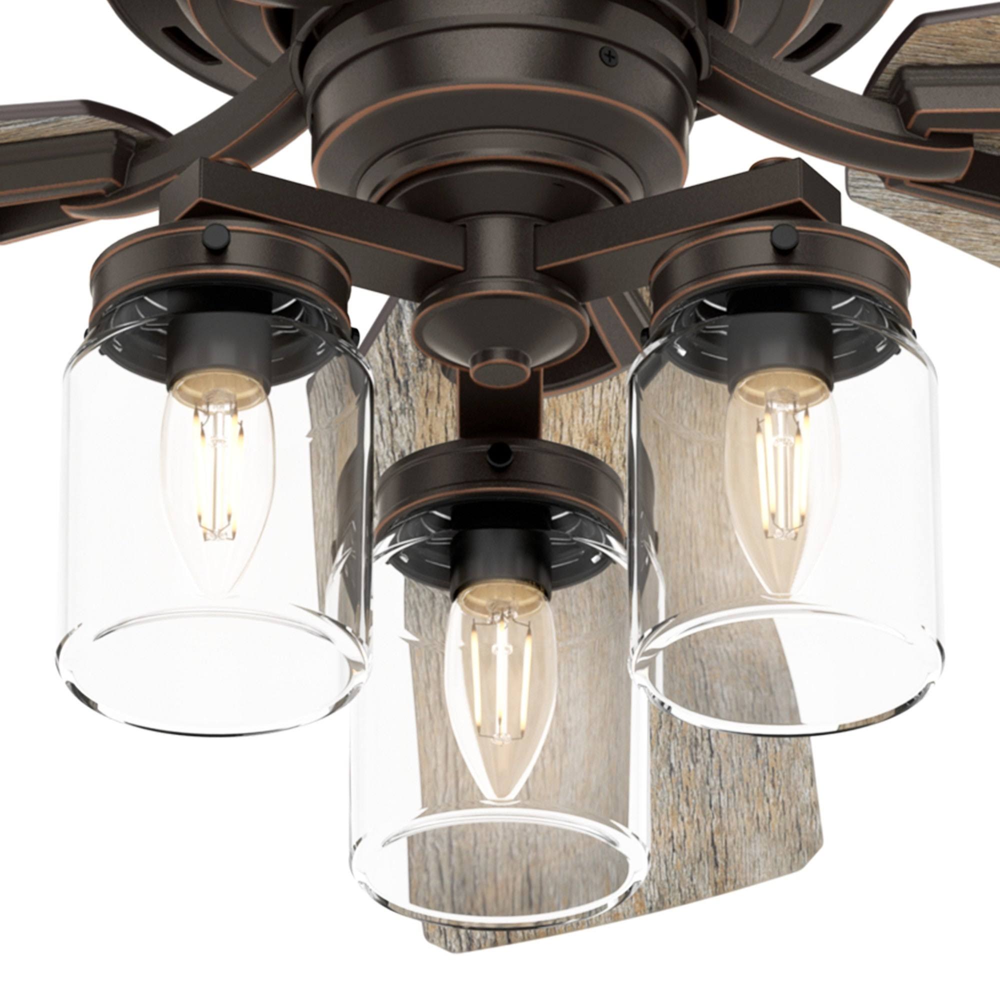 Brushed Nickel Ceiling Fan with LED Light L206607