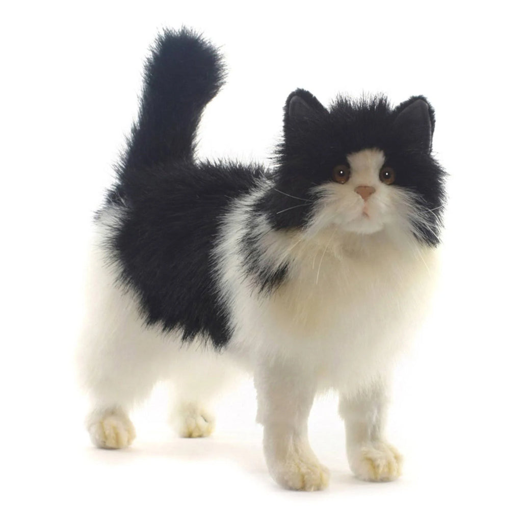 Black and White Cat Plush O83259