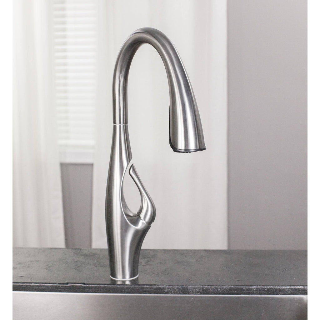Black Pull-Down Kitchen Faucet E5591