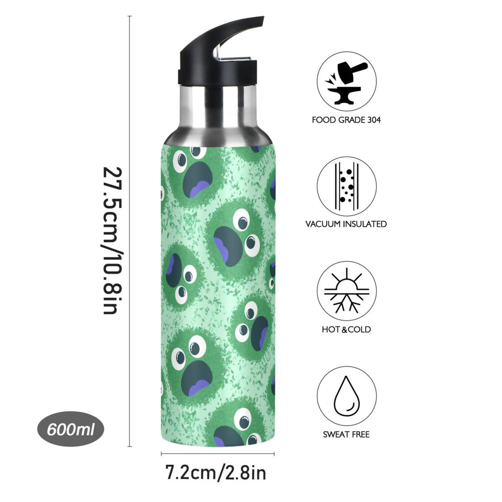 Stainless Steel Insulated Water Bottle with Straw Lid H79240