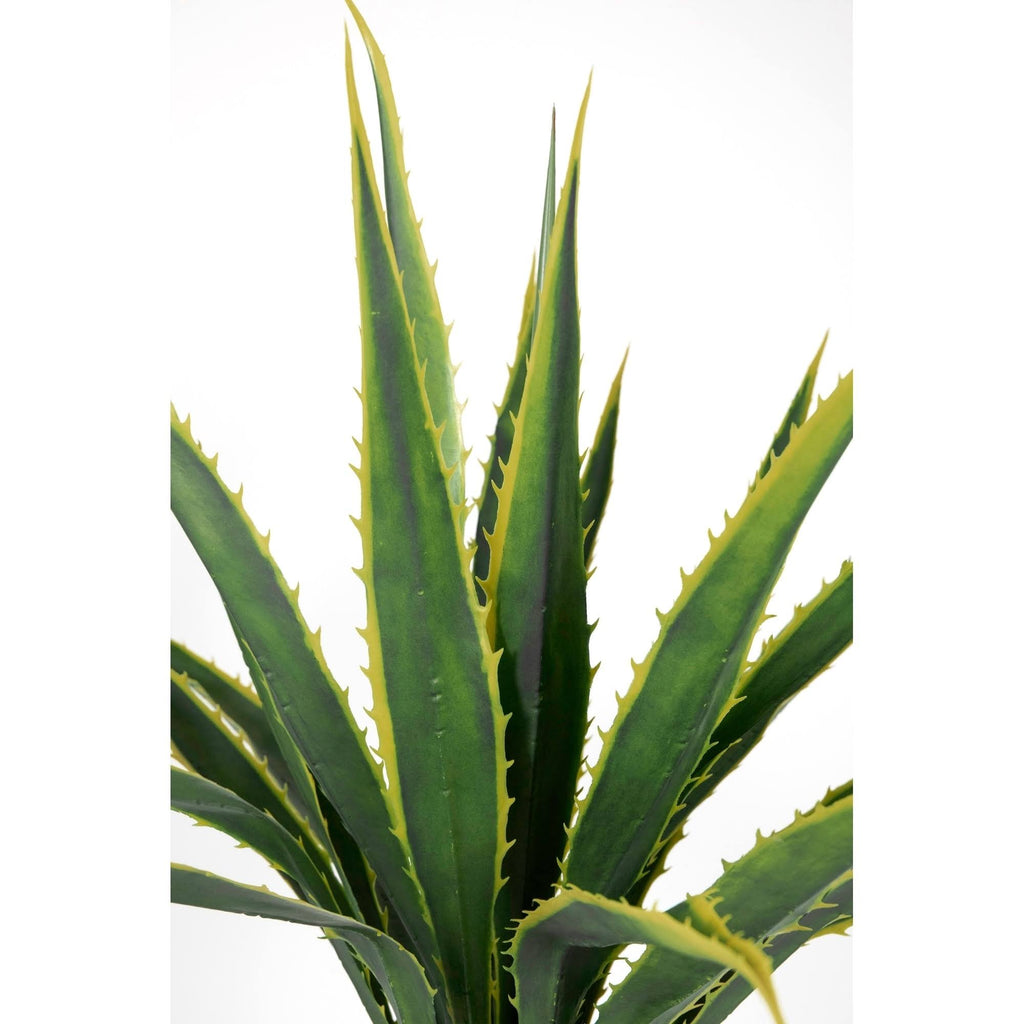 Real Touch Agave Plant R68646