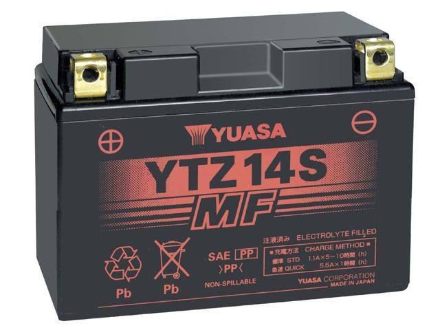 VRLA Battery L6149