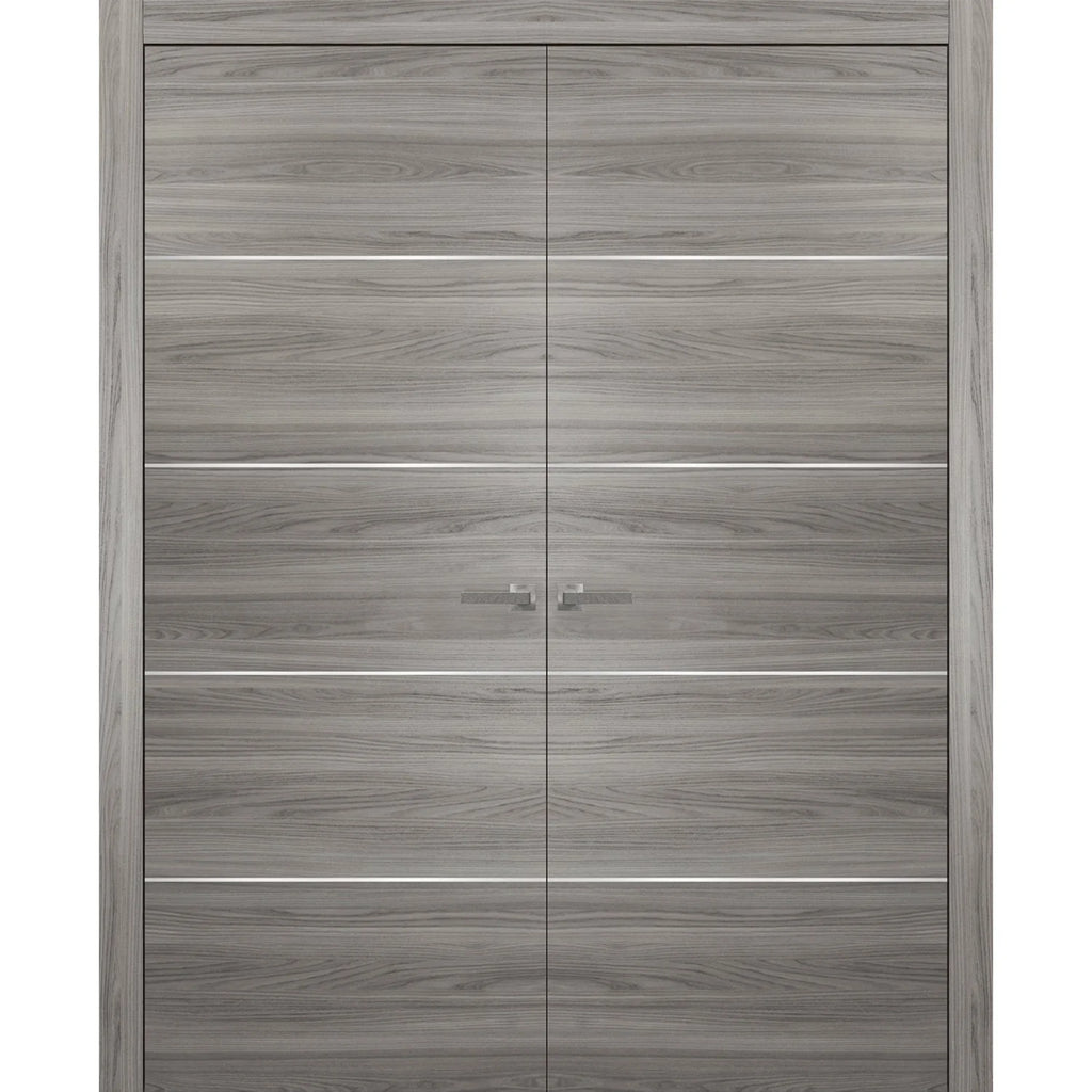 Grey French Doors 48 x 80 with Moldings R26512