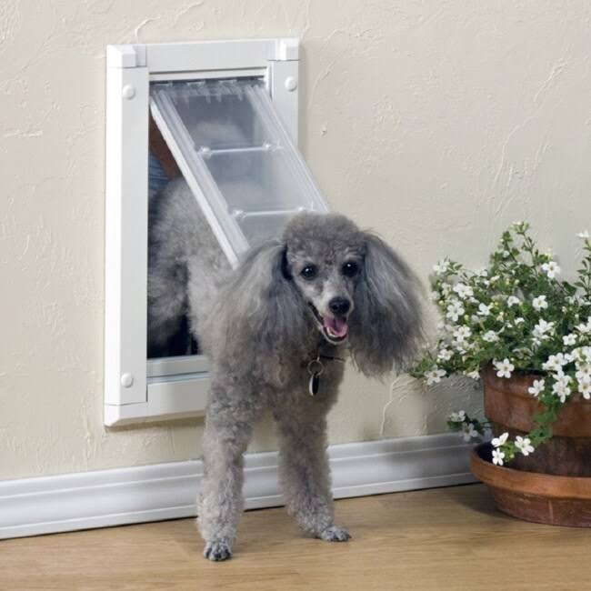Single Flap Wall Mount Pet Door V73951