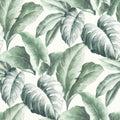 Ivory, Green Floral Leaf Wallpaper C13562