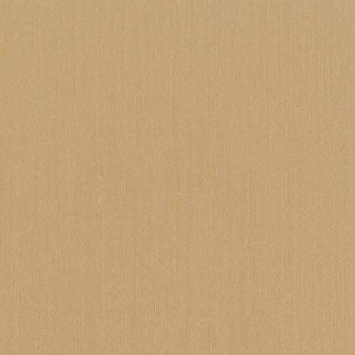 Brushed Bronze Door Kick Plate 8 x 28 Inches W370