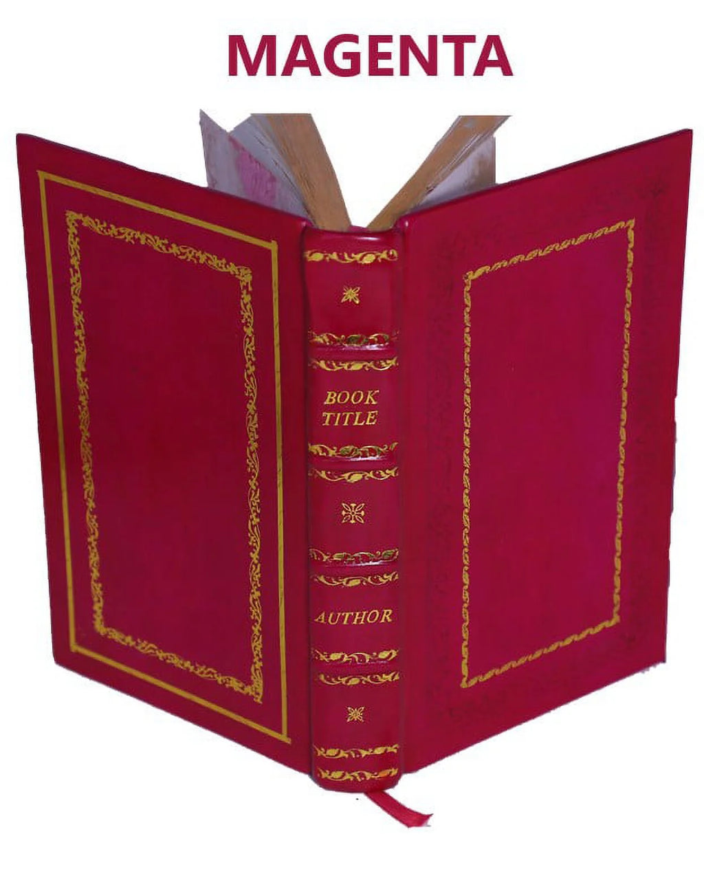 La bible d'Amiens 1910 D69245
