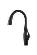 Black Pull-Down Kitchen Faucet E5591