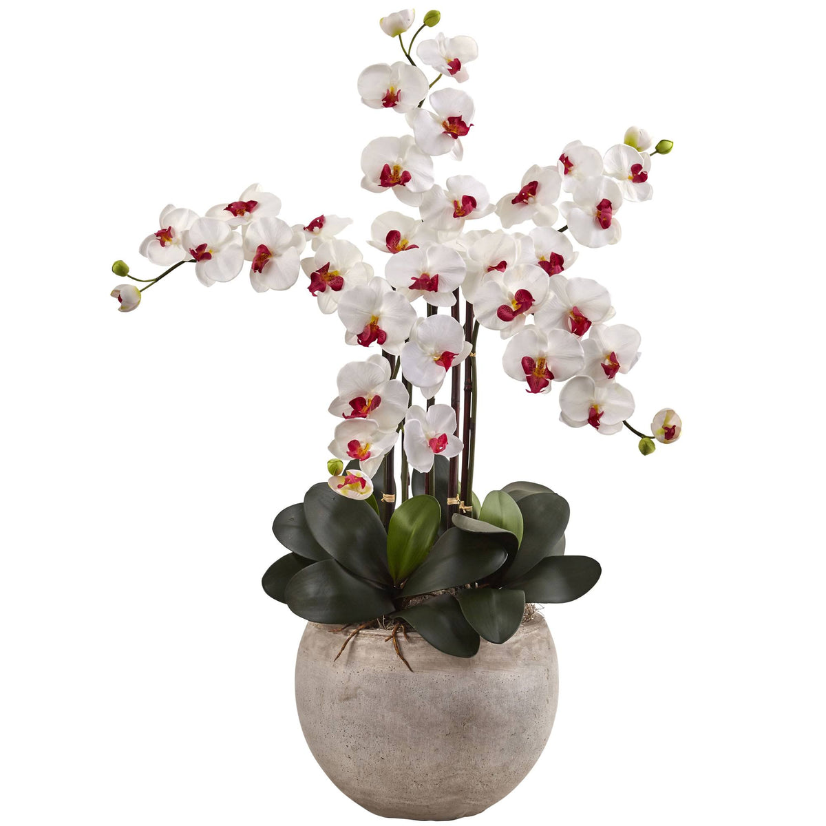 4.5 ft. Golden Cane Palm with Decorative Container U425094
