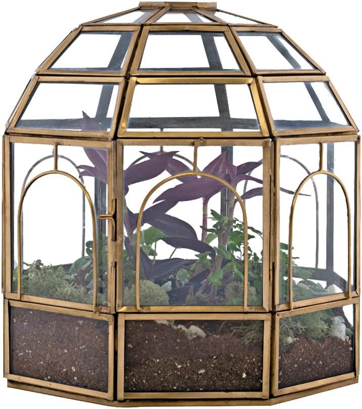 Large Glass Terrarium U4640