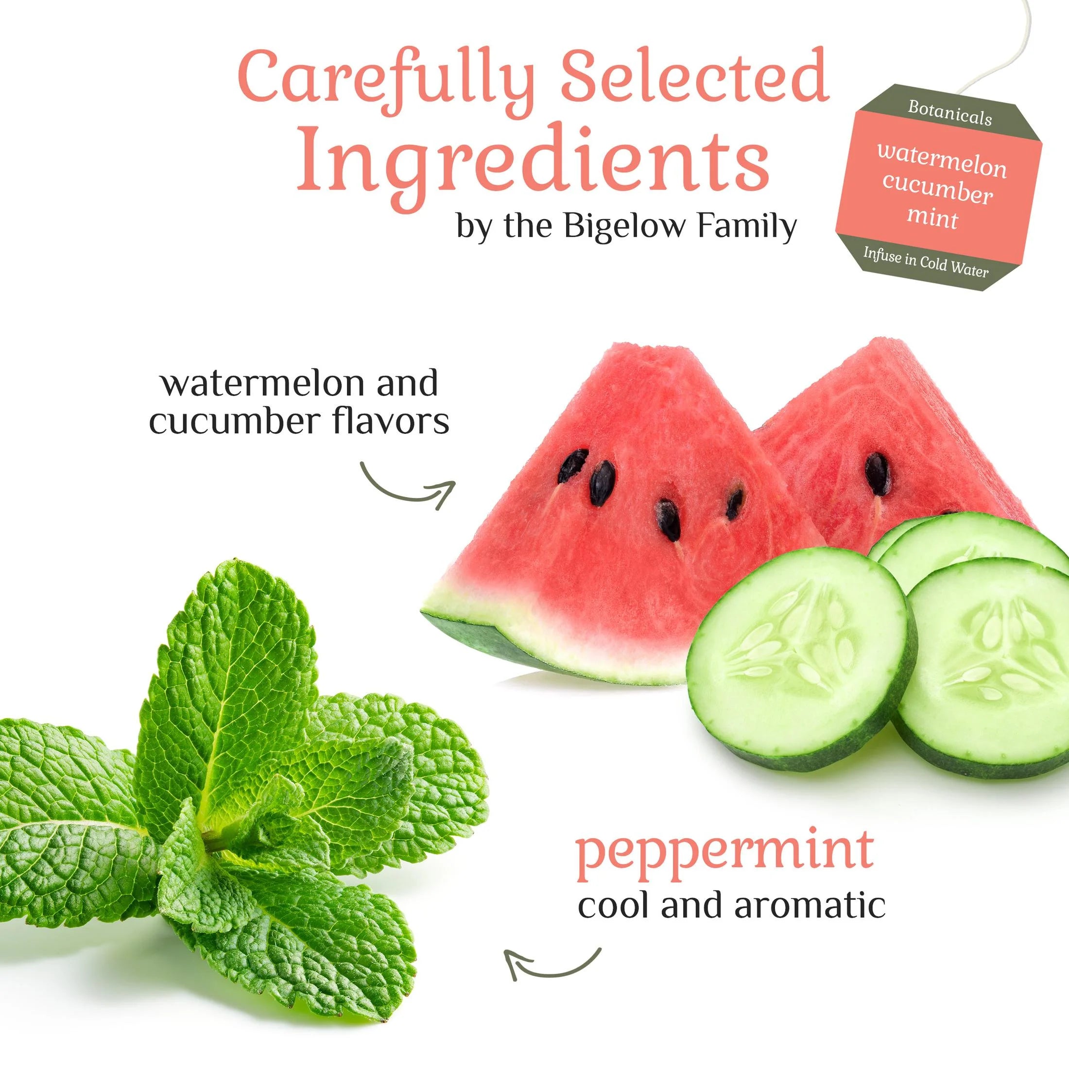 Watermelon Cucumber Mint Cold Water Infusion Tea Bags, 72 Count Y37263