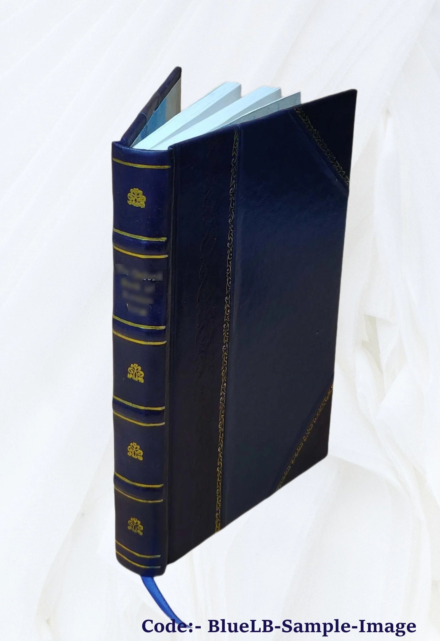 Leather Bound Book Z840609