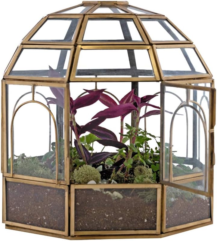 Large Glass Terrarium U4640