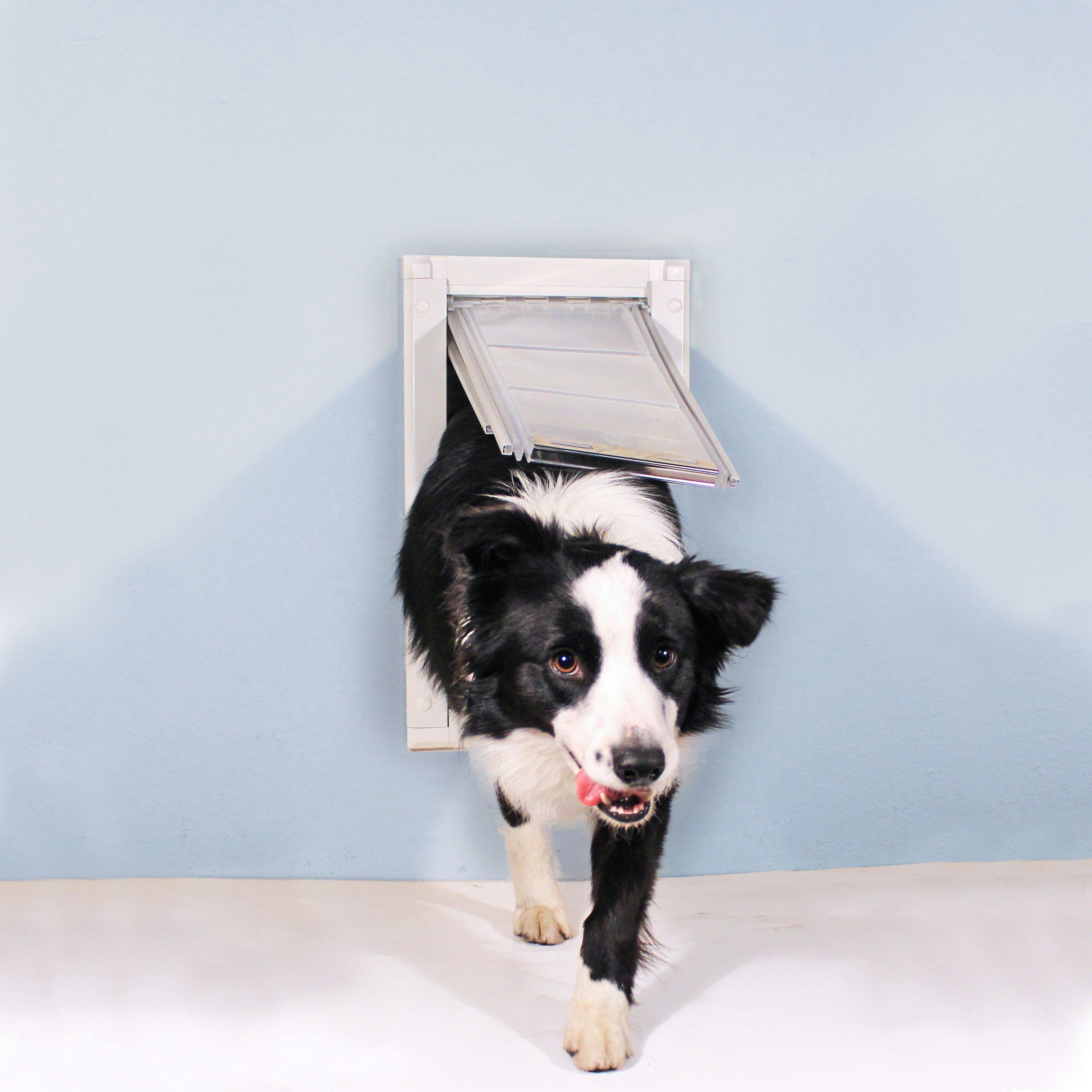 Single Flap Wall Mount Pet Door V73951