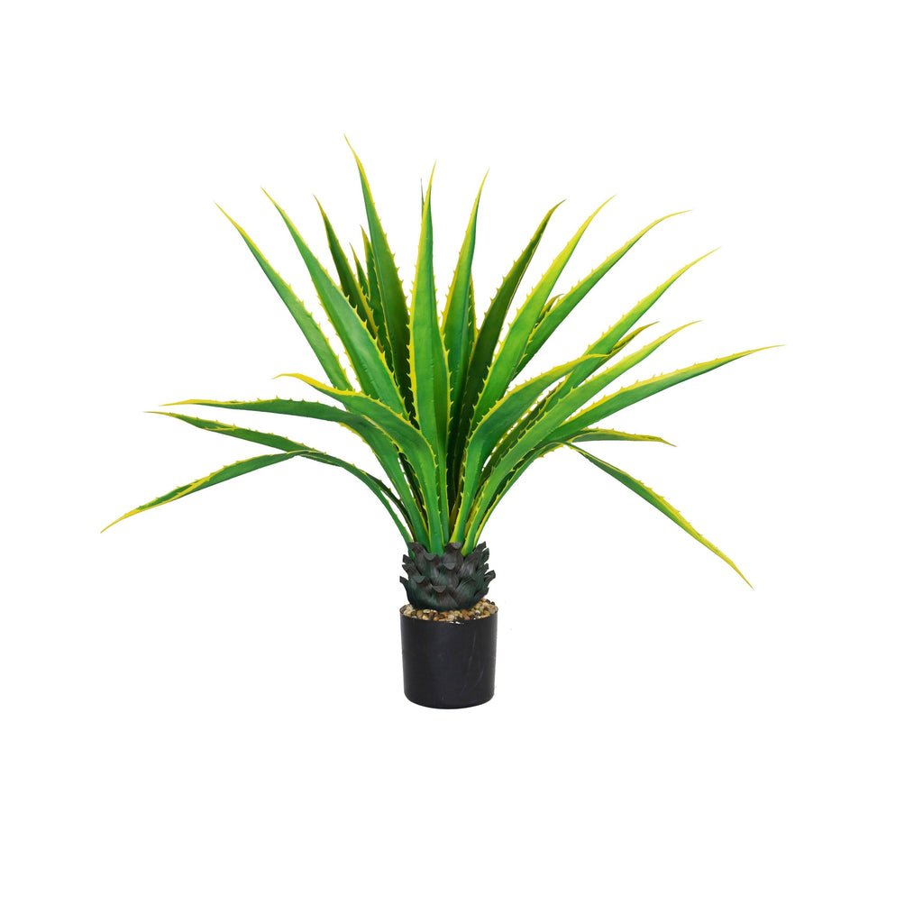 Real Touch Agave Plant R68646