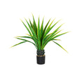 Real Touch Agave Plant R68646