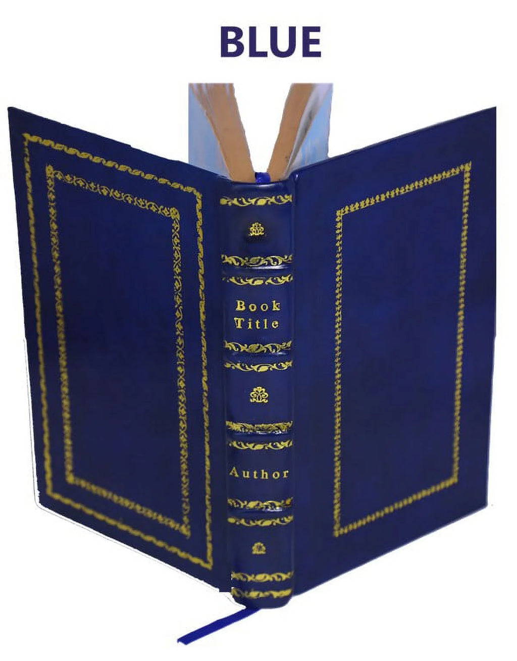 La bible d'Amiens 1910 D69245