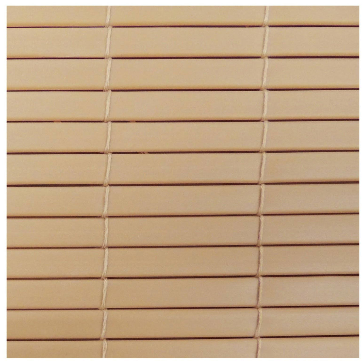 Rollup Shade E631