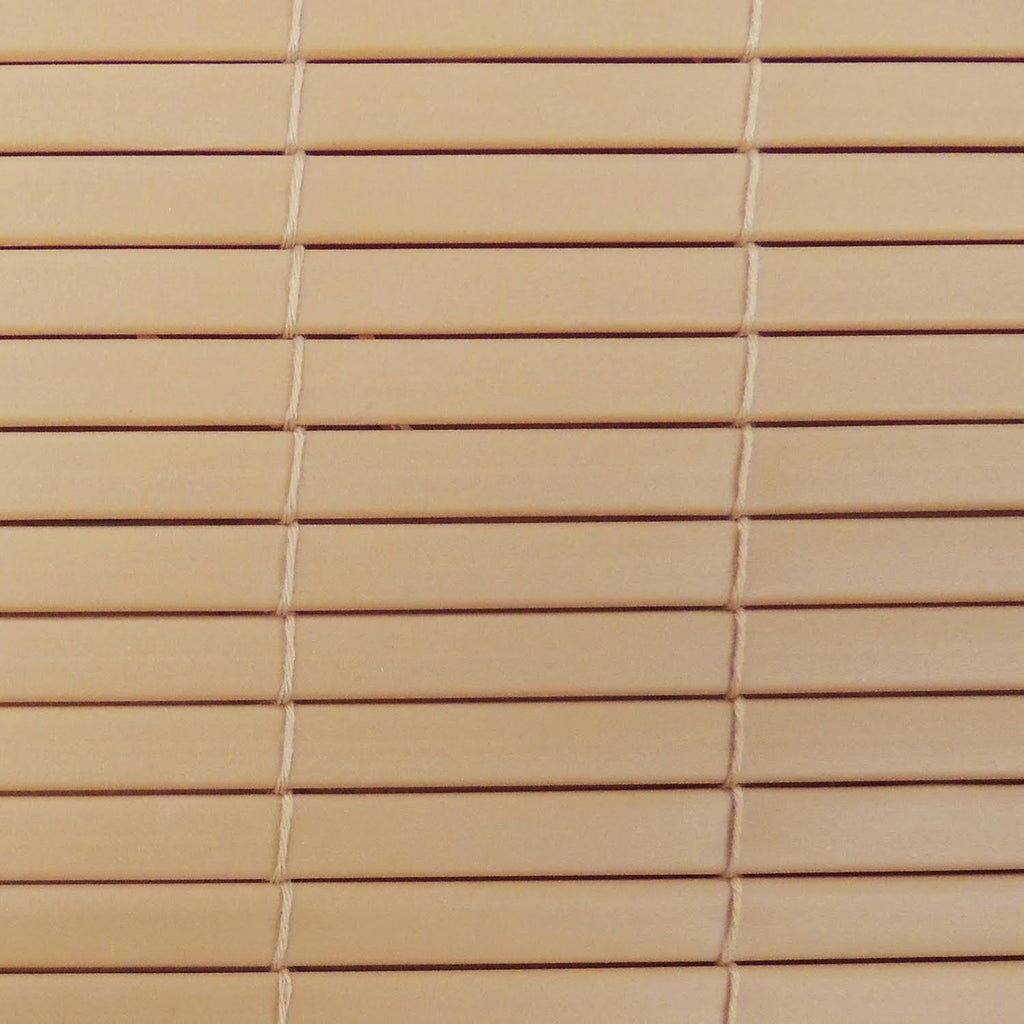 Rollup Shade E631