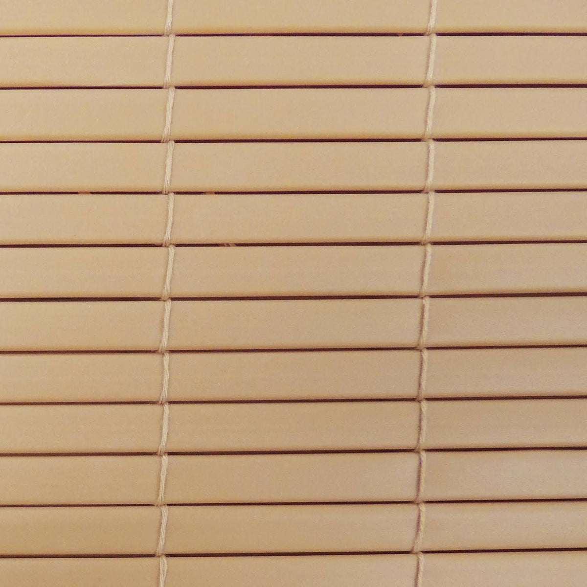 Rollup Shade E631