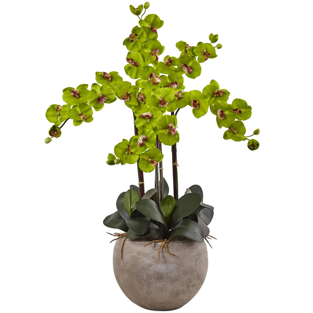 4.5 ft. Golden Cane Palm with Decorative Container U425094