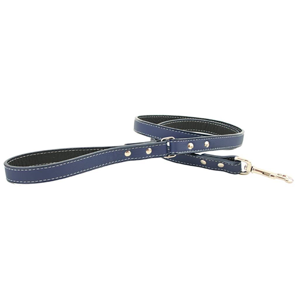 Blue Dog Leash G4658