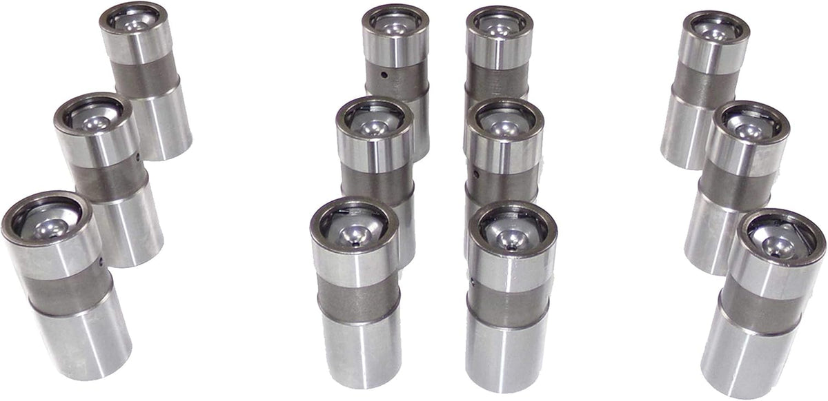 Hydraulic Lifters Pack of 2 Y472