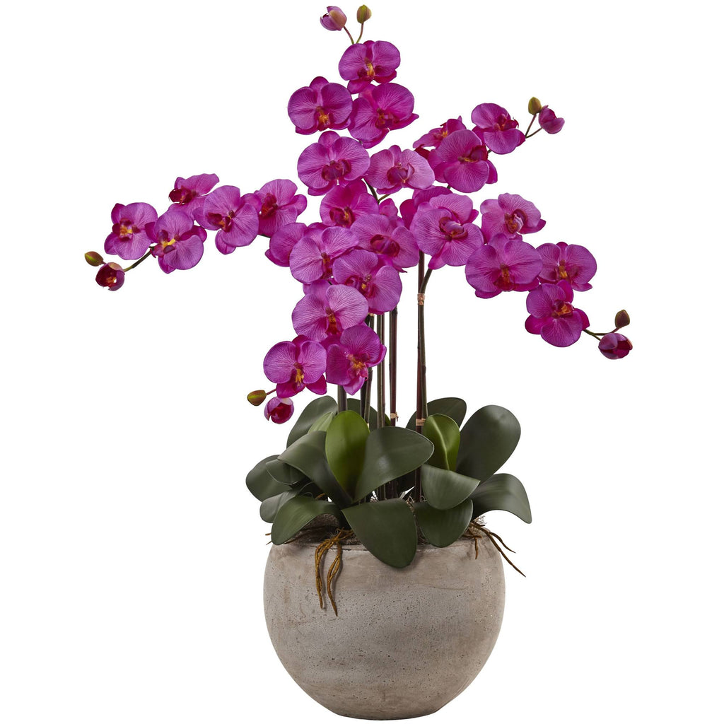4.5 ft. Golden Cane Palm with Decorative Container U425094
