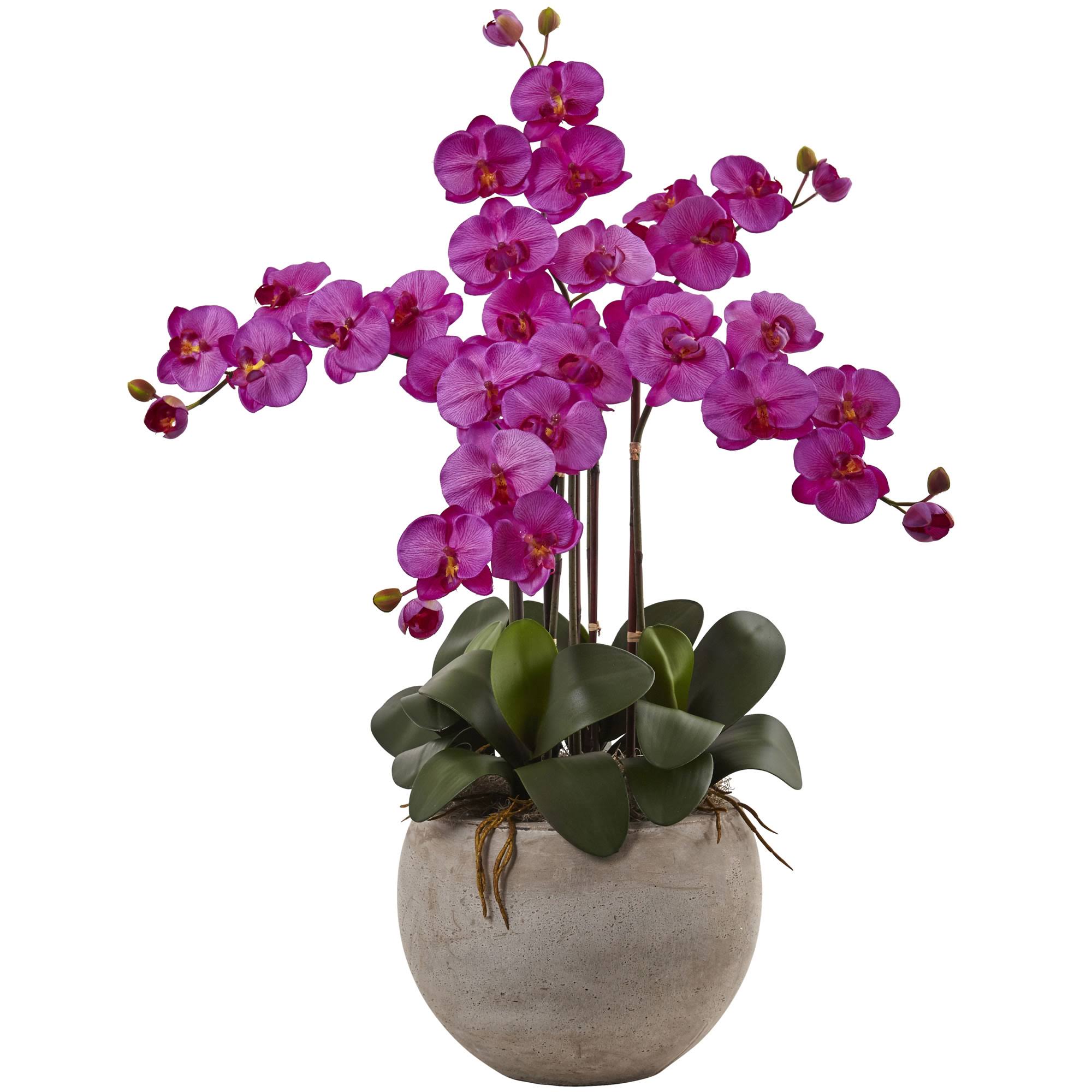 4.5 ft. Golden Cane Palm with Decorative Container U425094