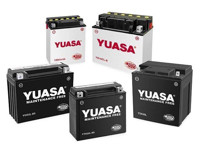 VRLA Battery L6149