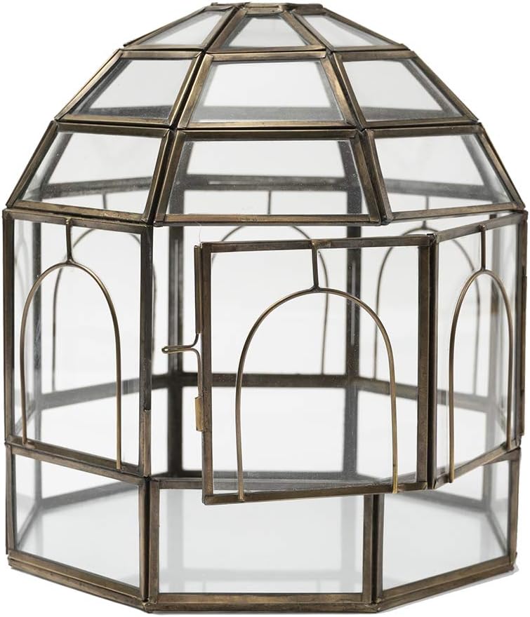 Large Glass Terrarium U4640