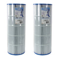 2 Pack Swimming Pool Replacement Filter Cartridge N591196