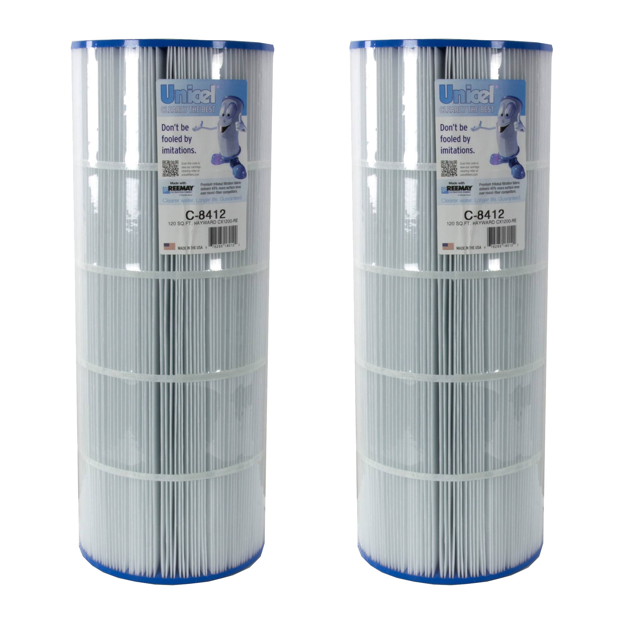 2 Pack Swimming Pool Replacement Filter Cartridge N591196