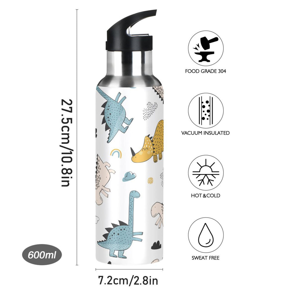 Stainless Steel Insulated Water Bottle with Straw Lid L690455