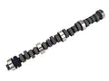 Magnum Camshaft G23390