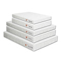 Queen Mattress with Bunkie Board C786