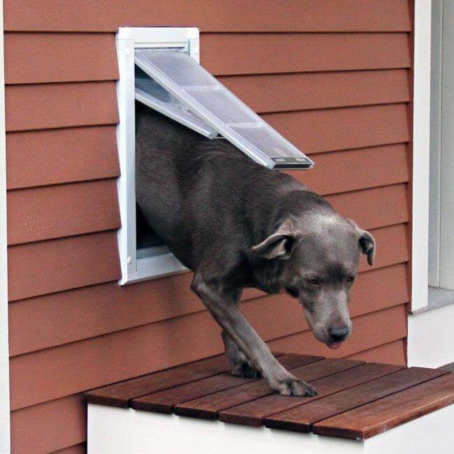 Single Flap Wall Mount Pet Door V73951