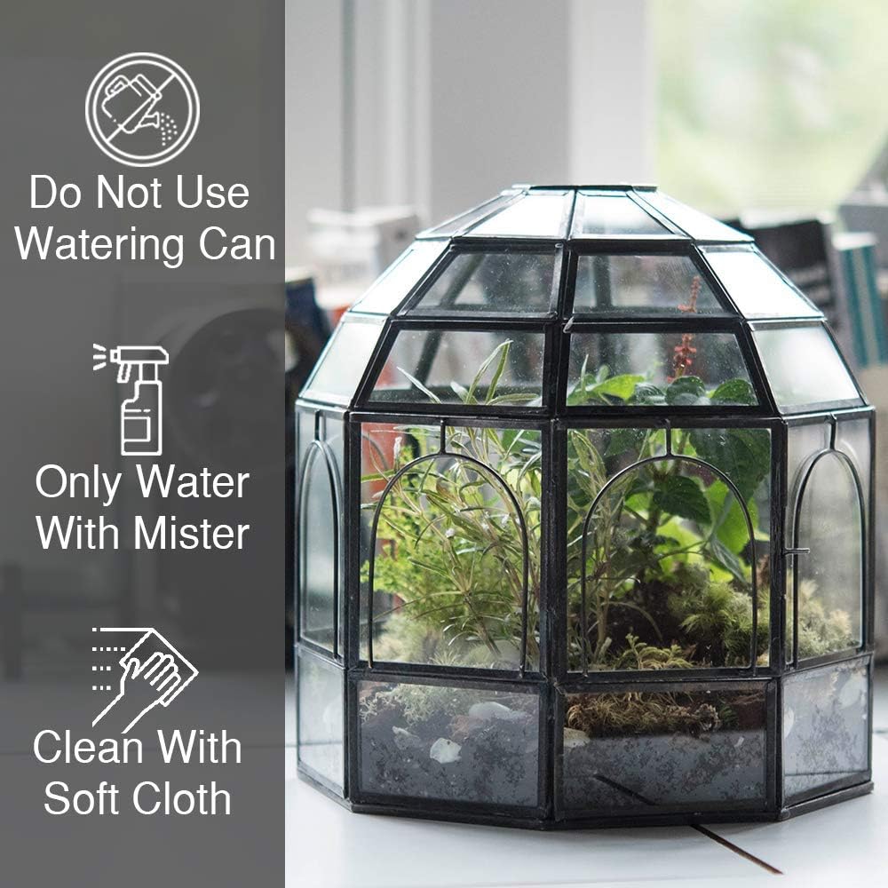 Large Glass Terrarium U4640