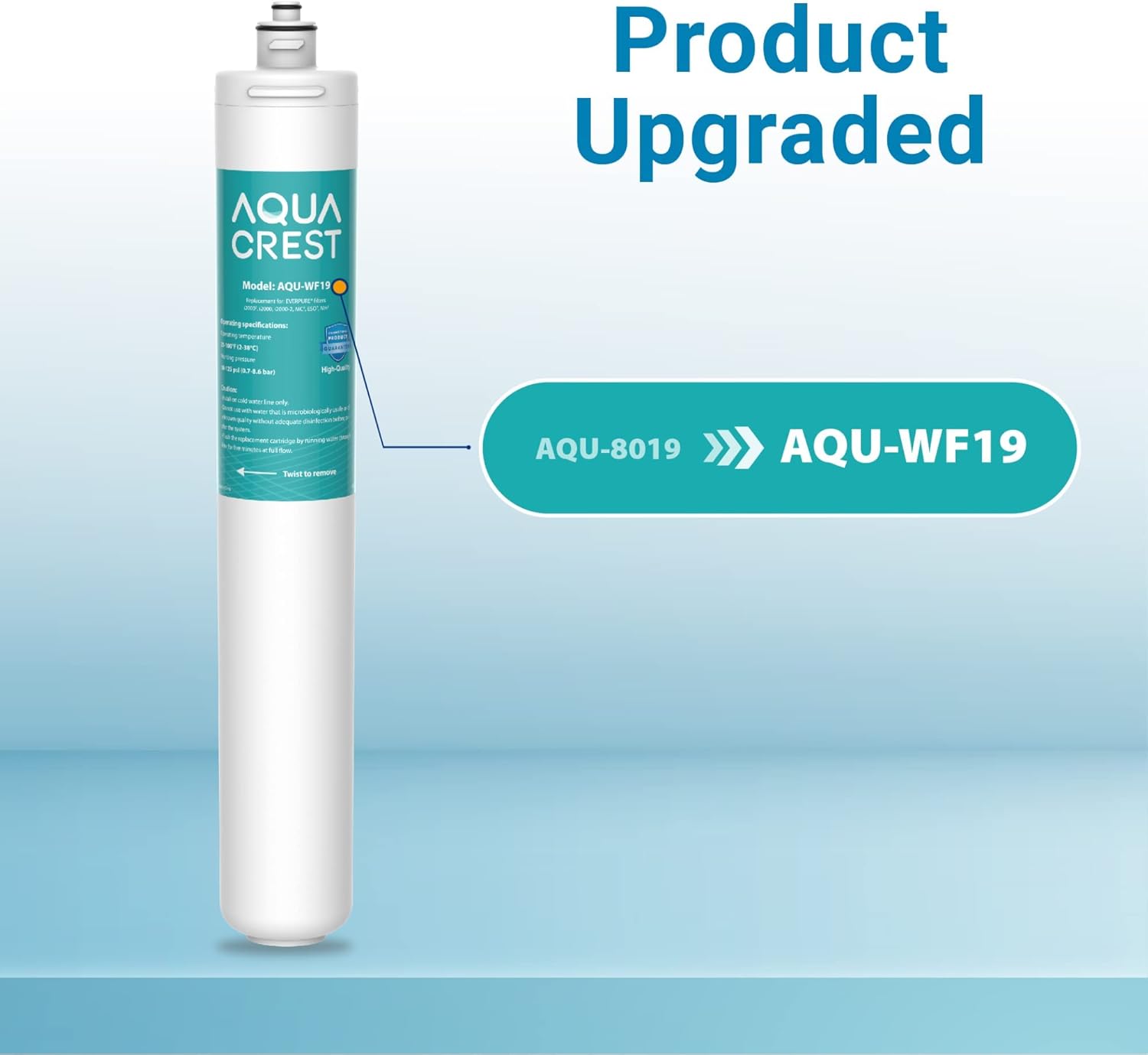2 Pack Under Sink Water Filter Replacement Cartridge R6238