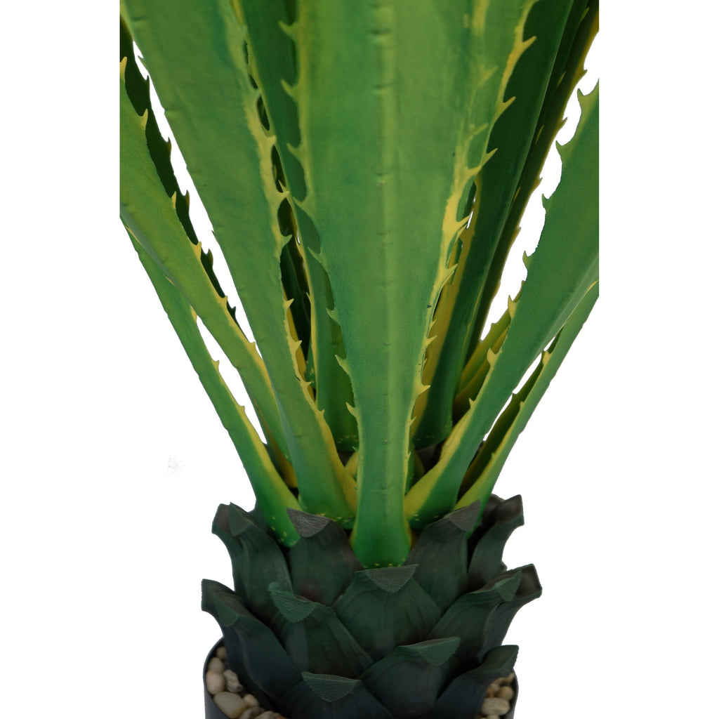 Real Touch Agave Plant R68646