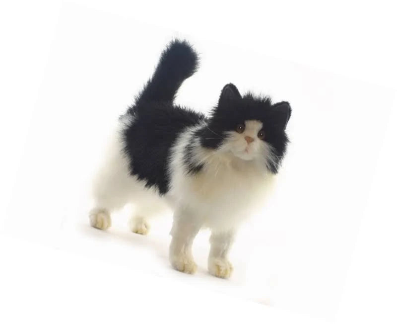 Black and White Cat Plush O83259