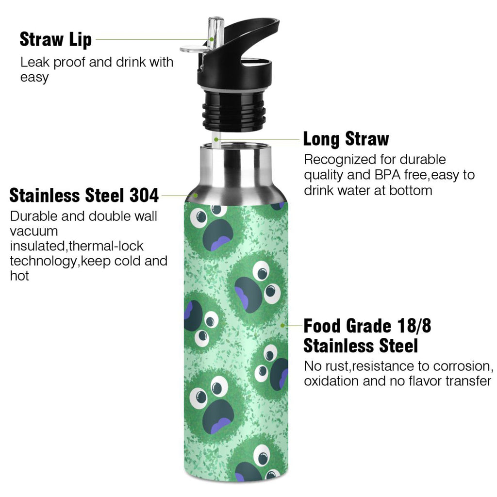Stainless Steel Insulated Water Bottle with Straw Lid H79240