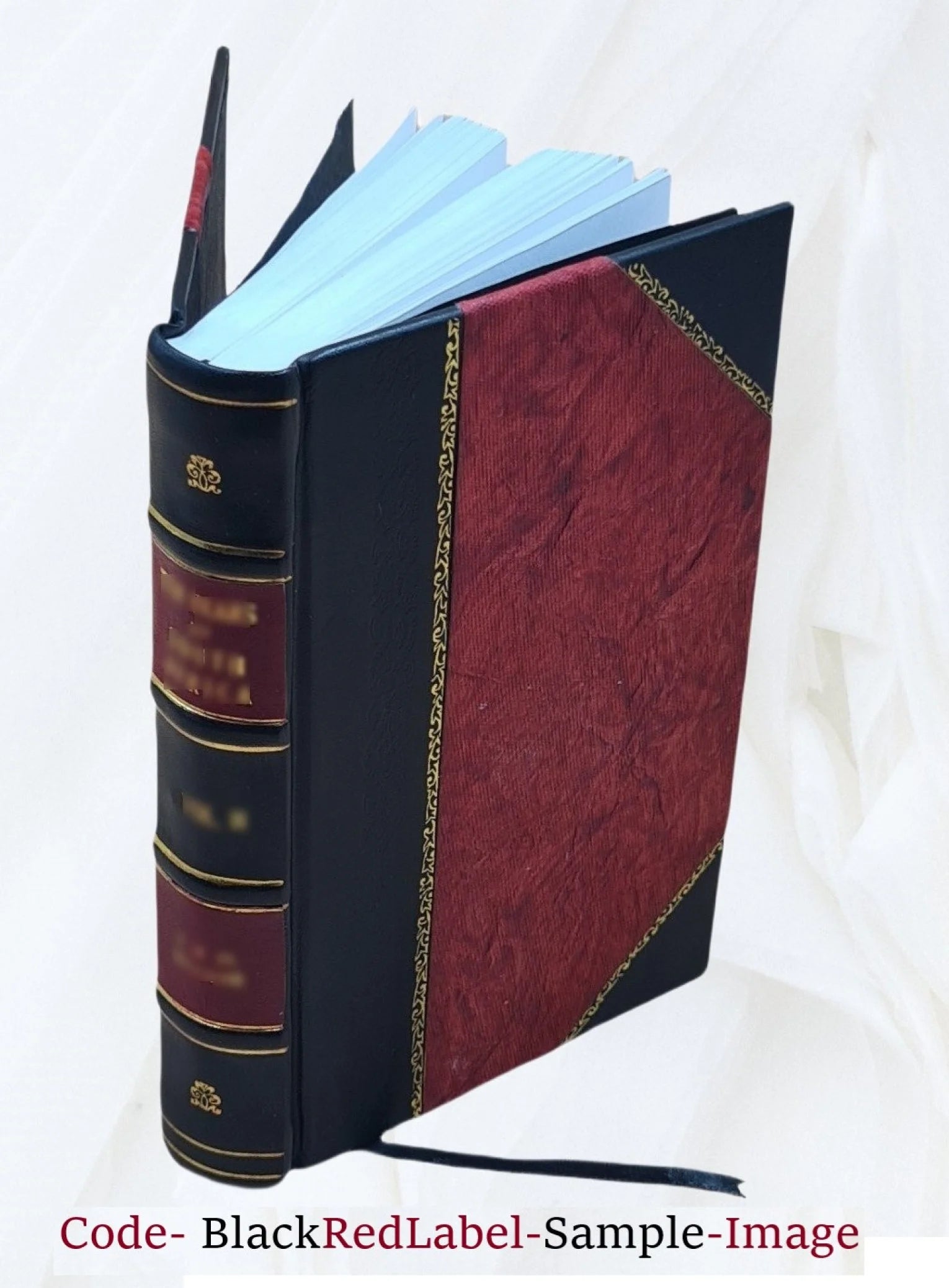 Leather Bound Book Z840609