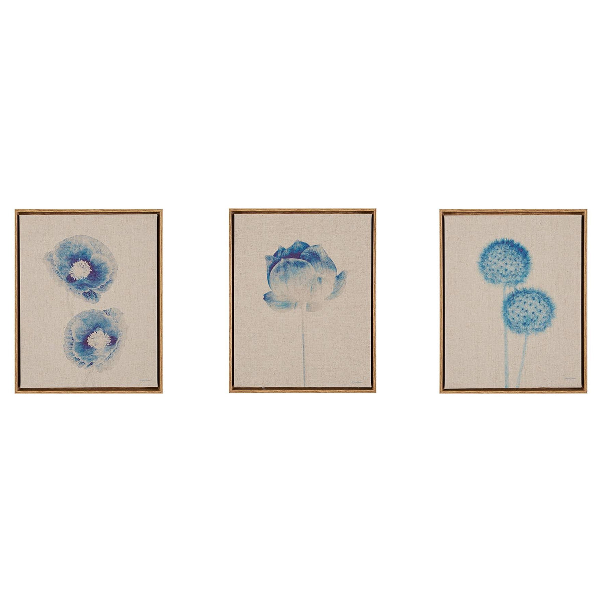 Blue Print Botanicals Framed 3 Piece Printed Canvas on Linen A3220